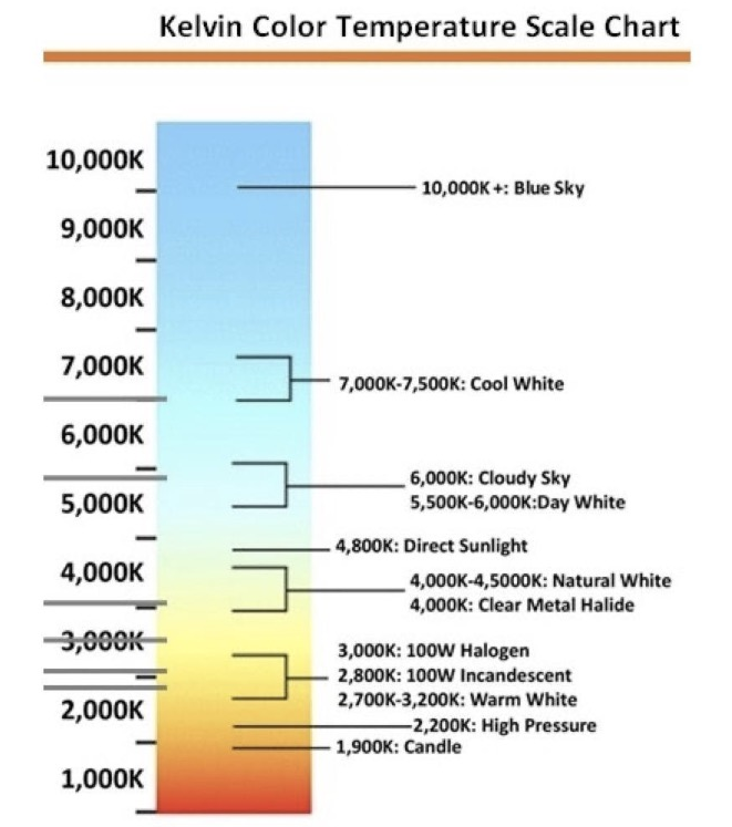 图片包含 室内, 小, 桌子, 不同
描述已自动生成