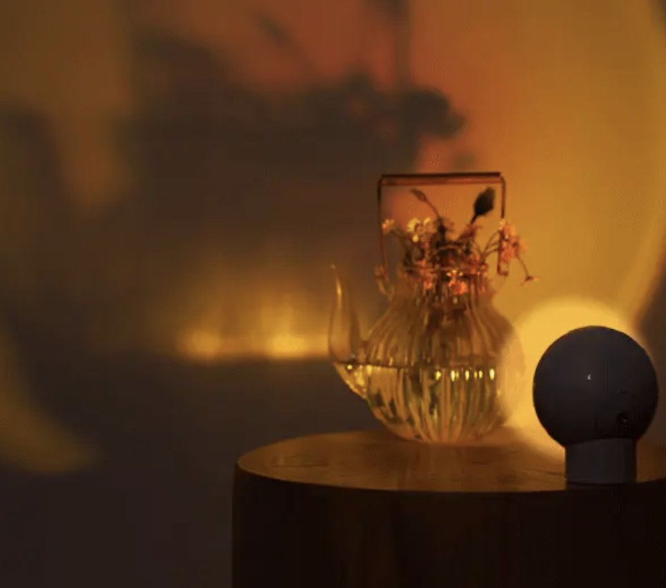 图片包含 室内, 桌子, 小, 碗 描述已自动生成